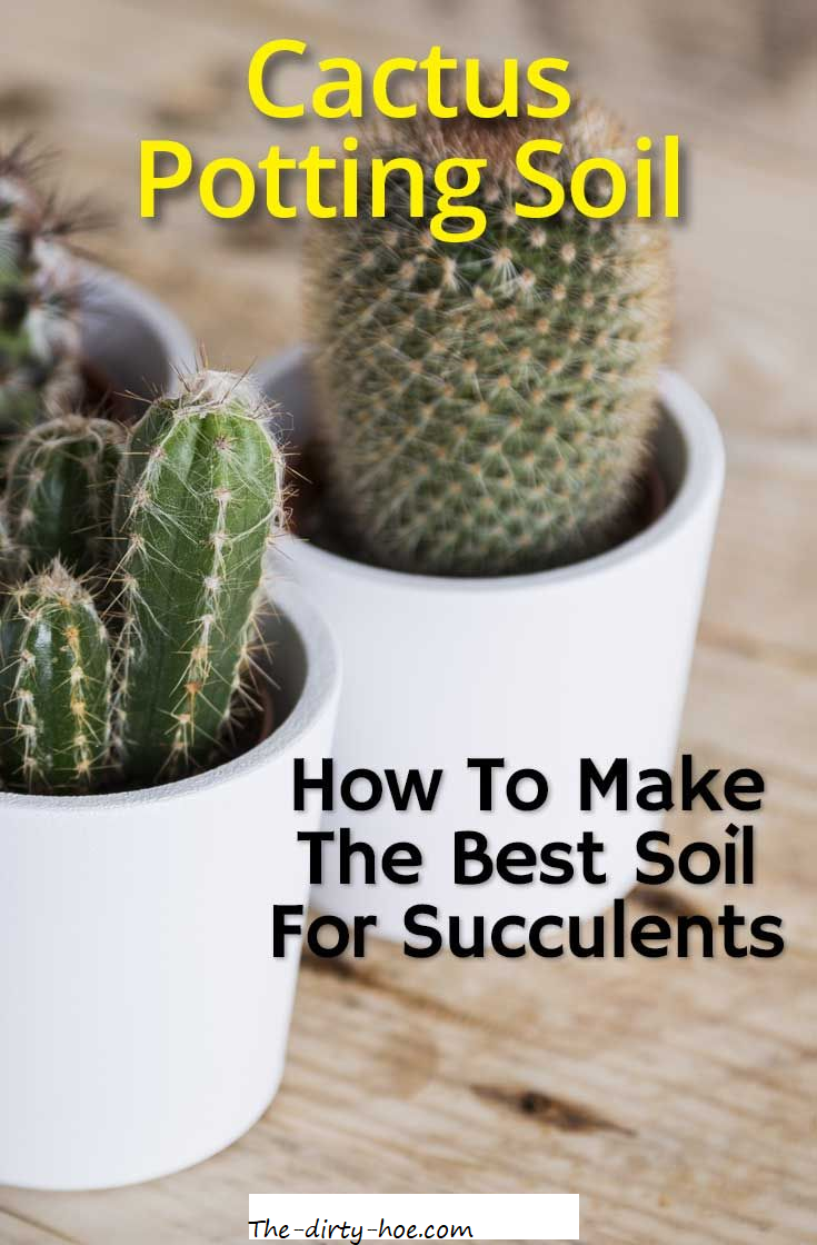 How to make DIY Cactus Soil  The-Dirty-Hoe.com