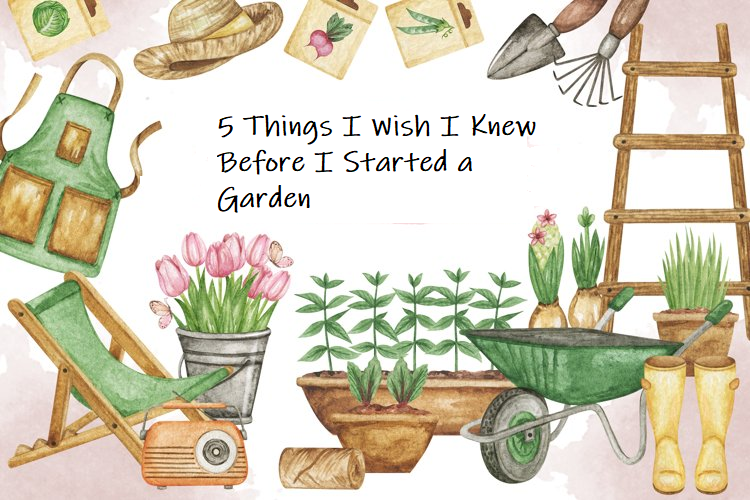 5 things I wish I knew before I started a garden – The-Dirty-Hoe.com