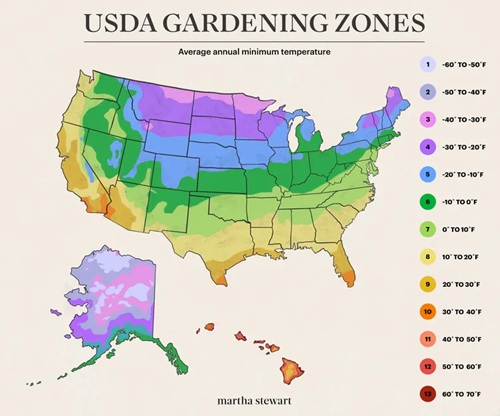 How to Read a Gardening Zone Map (and Use It to Grow Colorful Flowers